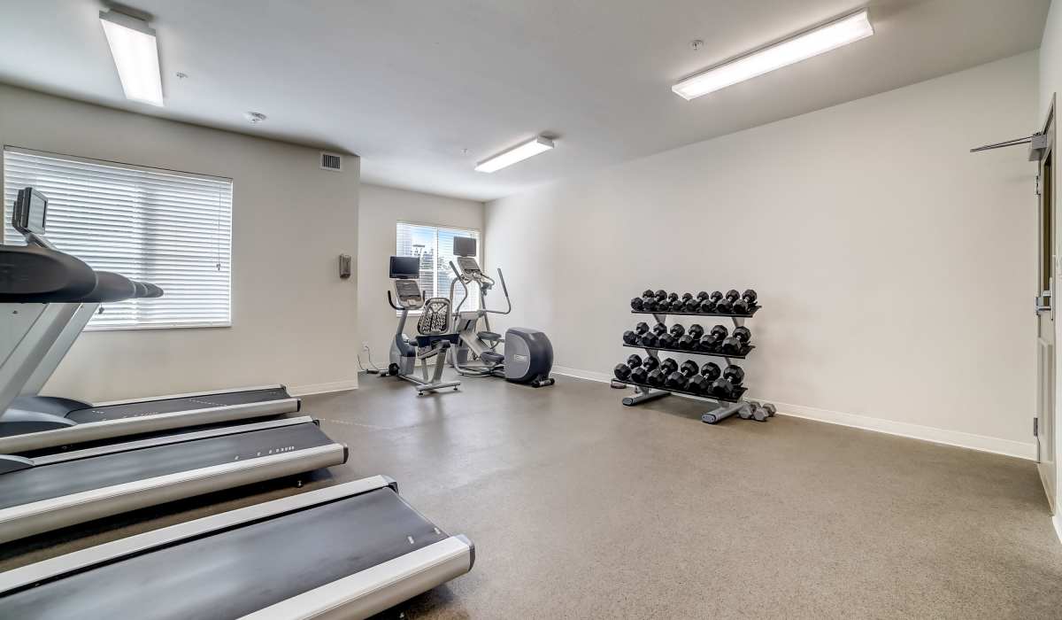 Rental property with modern gym